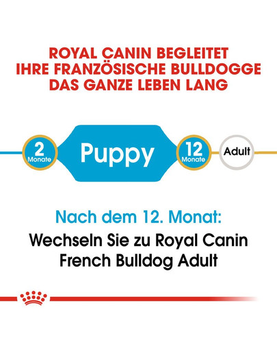 ROYAL CANIN French Bulldog Puppy Welpenfutter trocken für Französische Bulldoggen 3 kg