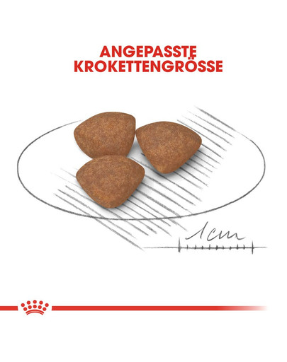 ROYAL CANIN MINI Puppy Welpenfutter trocken für kleine Hunde 2 kg