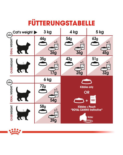 ROYAL CANIN FIT Trockenfutter für aktive Katzen 10 kg