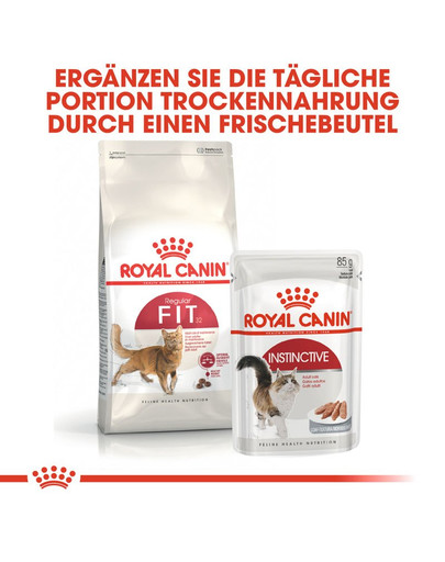 ROYAL CANIN FIT Trockenfutter für aktive Katzen 400 g