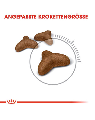 ROYAL CANIN Light Weight Care Trockenfutter für übergewichtige Katzen 10 kg