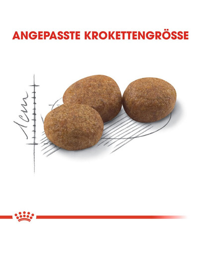 ROYAL CANIN Sterilised 37 10 kg + 2 kg Gratis