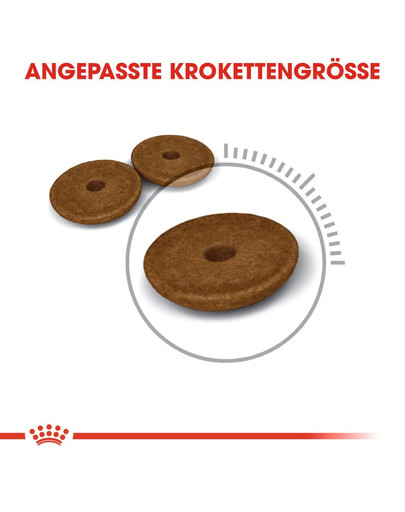 ROYAL CANIN Digestive Care Trockenfutter für Katzen mit empfindlicher Verdauung 2 kg