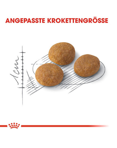 ROYAL CANIN AROMA EXIGENT Trockenfutter für wählerische Katzen 4 kg