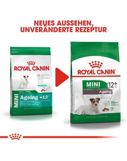 ROYAL CANIN MINI Ageing 12+ Trockenfutter für ältere kleine Hunde 800 g