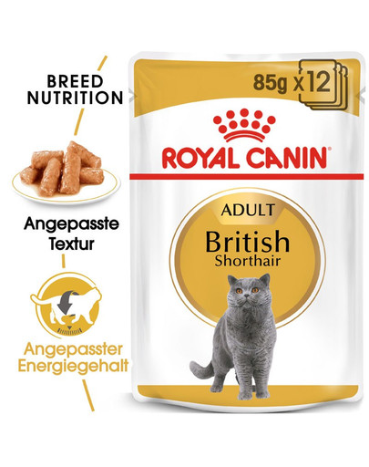 ROYAL CANIN British Shorthair Adult Katzenfutter nass für Britisch Kurzhaar 12x85 g
