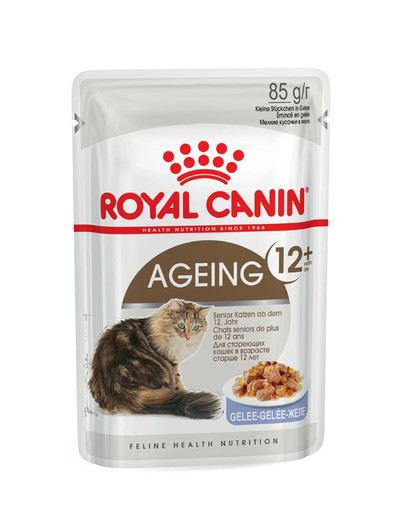 ROYAL CANIN AGEING 12+ in Gelee Nassfutter für ältere Katzen 12x85g