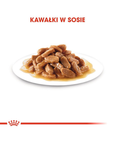 ROYAL CANIN MAXI PUPPY Welpenfutter nass für große Hunde 140g