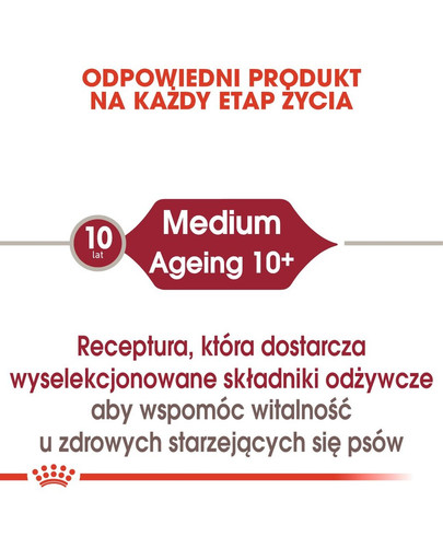 ROYAL CANIN MEDIUM AGEING 10+ Nassfutter für ältere mittelgroße Hunde 140 g
