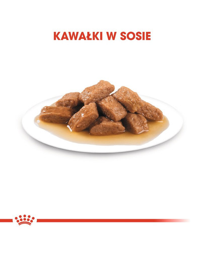 ROYAL CANIN MEDIUM AGEING 10+ Nassfutter für ältere mittelgroße Hunde 140 g