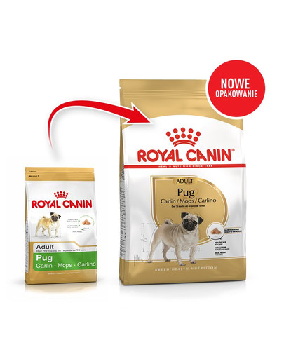 ROYAL CANIN Pug Adult Hundefutter trocken für Mops 3 kg