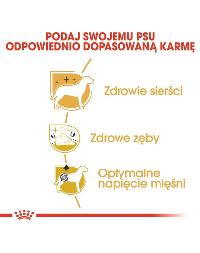 ROYAL CANIN Poodle Adult Hundefutter trocken für Pudel 3 kg