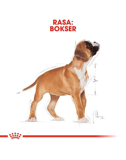 ROYAL CANIN Boxer Puppy Welpenfutter trocken 3 kg