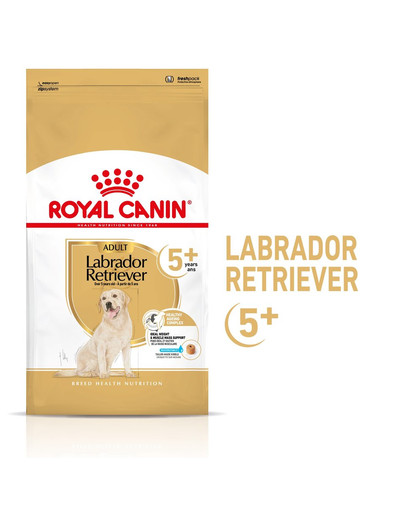 ROYAL CANIN Labrador Retriever Adult 5+ Trockenfutter für Hunde ab 5 Jahren 12kg