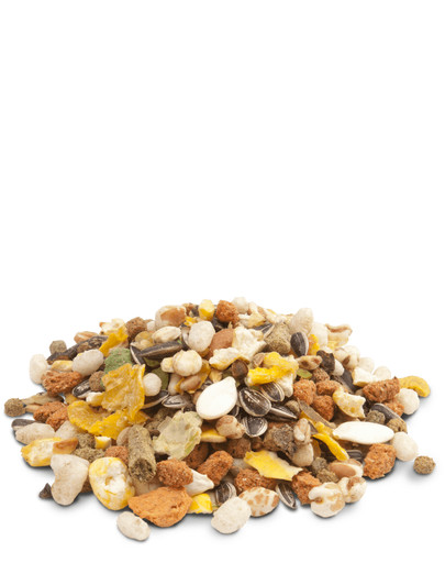 VERSELE-LAGA Crispy Muesli Hamsters & Co Extra Cereals 400 g