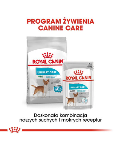 ROYAL CANIN Urinary Care Nassfutter für Hunde mit empfindlichen Harnwegen Mousse 85 g x 12