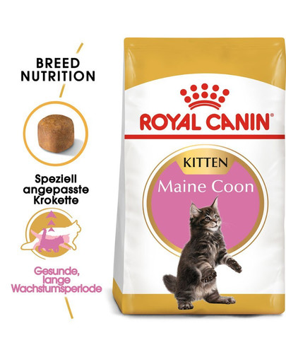 ROYAL CANIN Maine Coon Kittenfutter trocken für Kätzchen 20 kg (2 x 10 kg)
