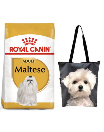 ROYAL CANIN Maltese Adult Hundefutter trocken 1,5 kg + Klassische Einkaufstasche