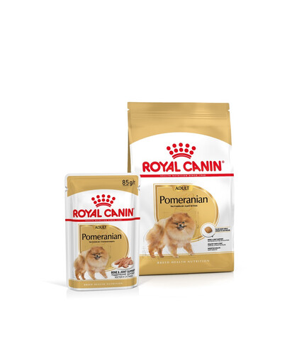 ROYAL CANIN Trockenfutter Pomeranian Adult 1.5 kg + Nassfutter Pomeranian Adult 12x85g