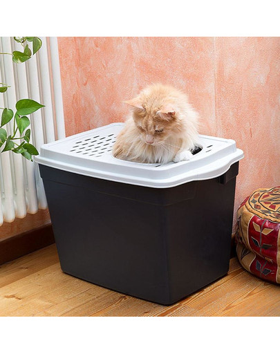 FERPLAST Jumpy Katzentoilette mit Zugang von oben