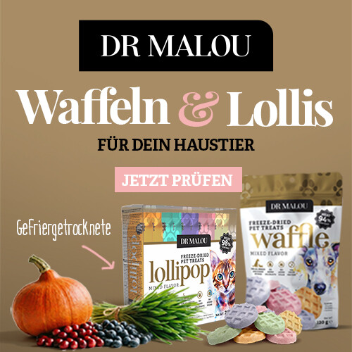 DR MALOU gefriergetrocknete Waffeln und Lutscher