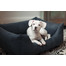 FERA Shine Sofabett für Hund M 80 x 60 x 25 cm