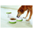 CURVER Pet Travel Kit FUTTER-REISE-SET