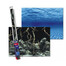 AQUA NOVA Doppelseitige Aquarienrückwand L 60x30cm Wurzeln/Wasser