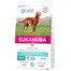 EUKANUBA Daily Care Sensitive Digestion Chicken Trockenfutter für ausgewachsene Hunde mit sensibler Verdauung 2.3 kg