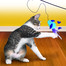 KONG Cat Teaser Feather Assorted 1St