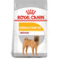 ROYAL CANIN Medium Dermacomfort 12 kg Trockenfutter für ausgewachsene Hunde, mittelgroße Rassen mit empfindlicher Haut