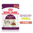 ROYAL CANIN Sensory smell 12x85 g