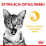 ROYAL CANIN Sensory Taste Stücke in Soße 12x85g für ausgewachsene Katzen zur Stimulierung des Geschmackserlebnisses