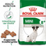 ROYAL CANIN MINI Adult 8+ Trockenfutter für ältere kleine Hunde 8 kg (10 x 0,8 kg)