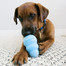 KONG Puppy Snacks M/L 312g