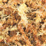 TRIXIE Torfmoos Einstreu (Sphagnum) 100 g