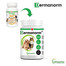 VETOQUINOL Dermanorm VTQ care 90 Hauttabletten für Hunde und Katzen
