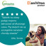 VETOQUINOL Caniviton protect 30 Tabletten