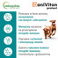 VETOQUINOL Caniviton protect 30 Tabletten