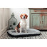 FERA Sky Pontoon Hundebett hellgrau M 88 x 62 cm