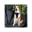 TRIXIE Autogeschirr Dog Comfort (L) 65–80 cm / 25 mm