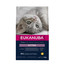 EUKANUBA Katze Kitten Alle Rassen Healthy Start Huhn & Leber 10 kg