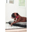 FERA Sunset Pontoon Hundebett M 82 x 57 x 10 cm