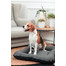 FERA Sunset Pontoon Hundebett M 82 x 57 x 10 cm