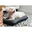 FERA Sunset Pontoon Hundebett M 82 x 57 x 10 cm