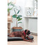 FERA Sunset Pontoon Hundebett M 82 x 57 x 10 cm