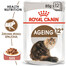 ROYAL CANIN Aging +12 Nassfutter in Soße für ausgewachsene Katzen 24x85 g