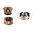 FERA 3x Schutzmaske (Yorkshire Terrier, Border Collie, Deutscher Schäferhund)