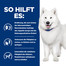 HILL'S Prescription Diet k/d + Mobility Canine 12 kg