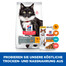 HILL'S Science Plan Feline Mature Adult sterilised cat chicken 3 kg